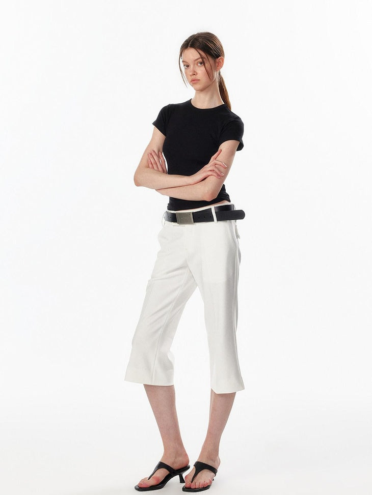 ALINNVSTUDIO Light Cleanfit Slim Crew Neck Short Sleeve Womens Cropped Tee Basic Crop Tops