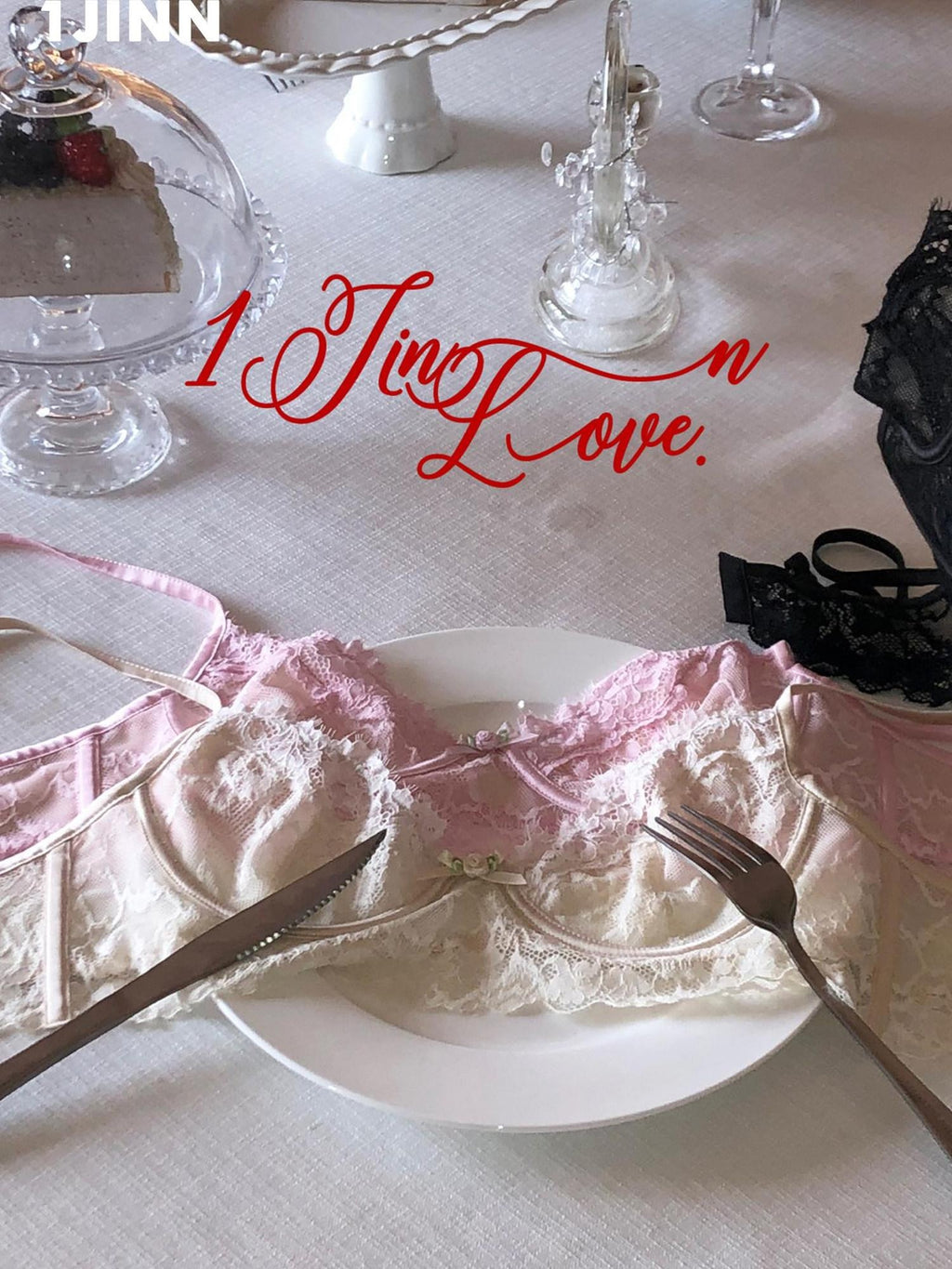 1JINN STUDIO Push Up French Lace U Strap Three Quarter Cup Three Row Hook Soft Wire Corsets