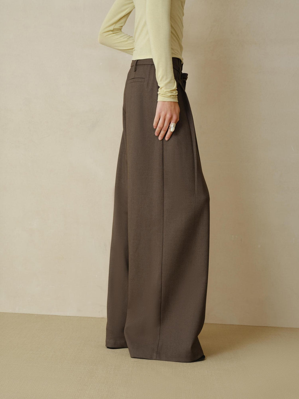 someonesometimes Pleated Commuter Natural Waist Tea Brown Lyocell Wool Stretch Wide Leg Pants